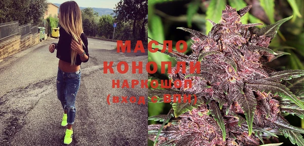 шишки Абаза