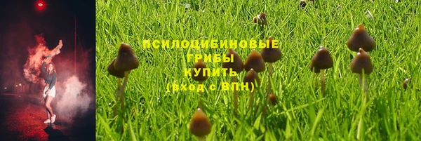 молекула духа Алзамай