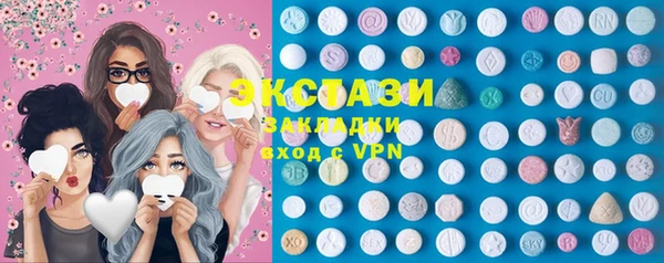 гашик Алексин