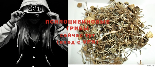 молекула духа Алзамай