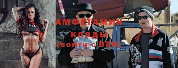 гашик Алексин